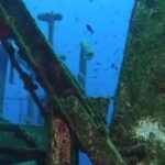 Kemer: Scuba Diving Experience in Aquarium and Kiris Bays - The Practicalities: What You Need to Know