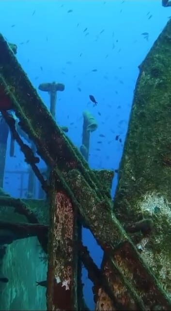 Kemer: Scuba Diving Experience in Aquarium and Kiris Bays - The Practicalities: What You Need to Know