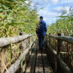 Kemeri National Park & Baltic Seaside Tour Bog Boardwalk - An In-Depth Look at the Tour Experience