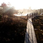 Kemeri National Park Bog Trail near Riga - Who Should Consider This Tour?