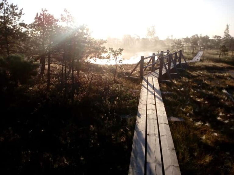 Kemeri National Park Bog Trail near Riga - Who Should Consider This Tour?