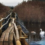 Kemeri National Park Outdoor Tour - FAQ