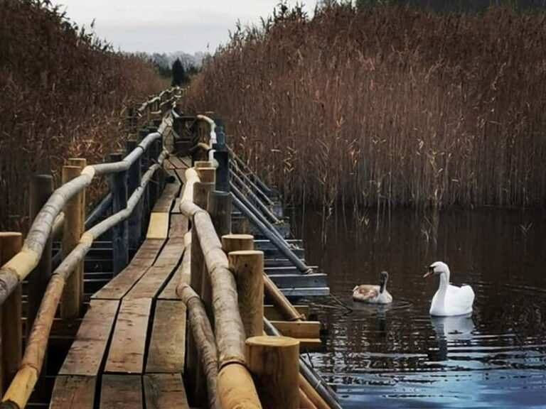 Kemeri National Park Outdoor Tour - FAQ