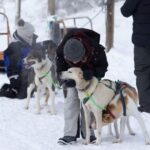 Kemi-Tornio: Husky Sled Ride with Hot Drink - Analyzing the Value