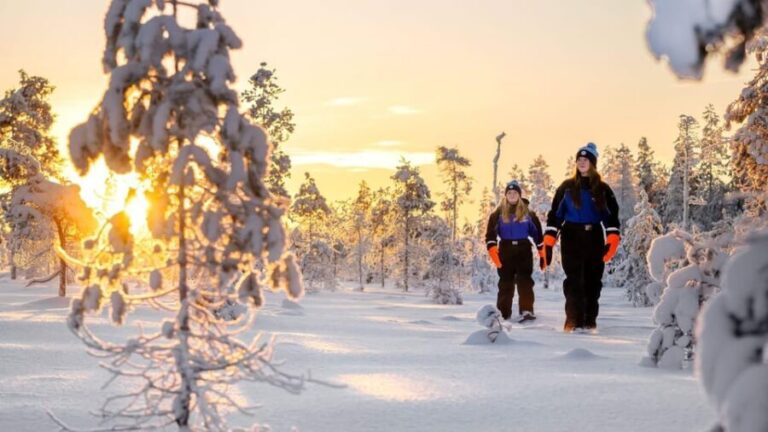 Kemi-Tornio: Nature tour with snowshoes - A Closer Look at the Snowshoe Adventure