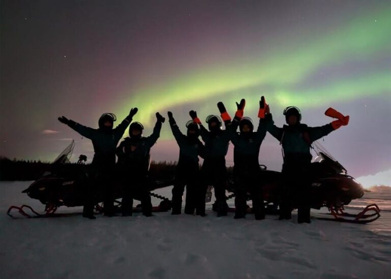 Kemi-Tornio: Night Safari on Snowmobiles - Exploring the Arctic Night: What To Expect