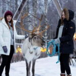 Kemi-Tornio: Reindeer farm experience - Frequently Asked Questions