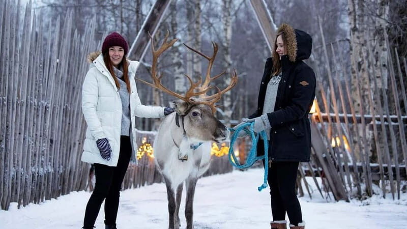 Kemi-Tornio: Reindeer farm experience - Frequently Asked Questions
