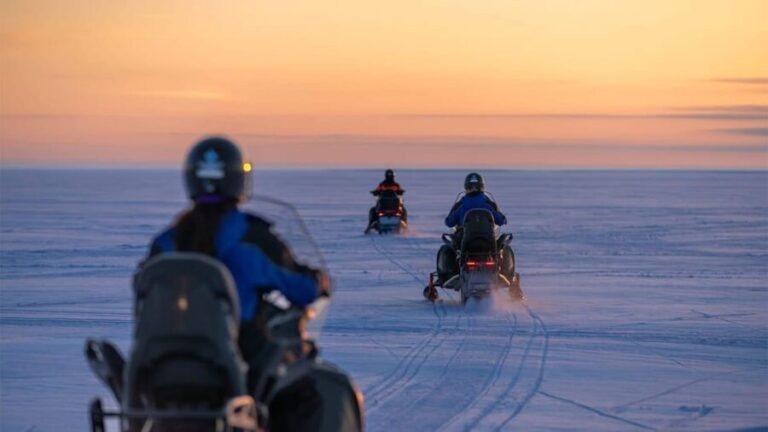 Kemi-Tornio: Snowmobile Forest Safari w/ Hot Drink & Snacks - The Value of the Experience