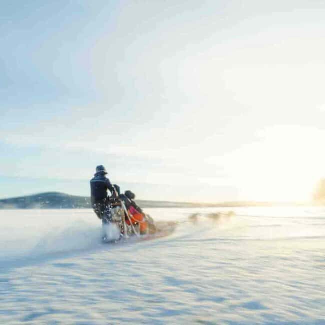 Kemijärvi: Insider Husky Self-Drive 5km Safari - Meeting Your Guides and Gear Up