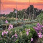 Kennett Square: Longwood Gardens Admission Ticket - Who Should Visit Longwood Gardens?