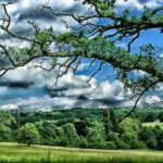 Kent; Garden of England Private Tour including Passes to 4 Sites - Authentic Experiences & Travel Tips
