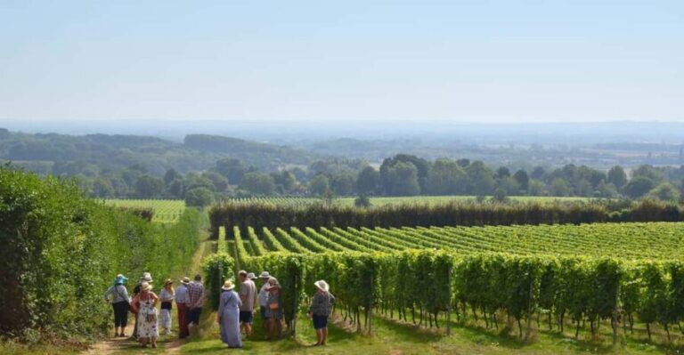 Kent: Yotes Court Vineyard Tour and Tasting - Who Will Love This Experience?