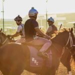Kentucky Derby Museum - Admission with Guided Track Visit - A Deep Dive into the Kentucky Derby Museum Experience