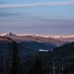 Ketchikan Backcountry Driving Tour Through the Tongass - Who Should Consider This Tour?