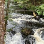 Ketchikan Exclusive Private Group Tour (Price up to 11 Passengers) - What You Can Expect in Practice