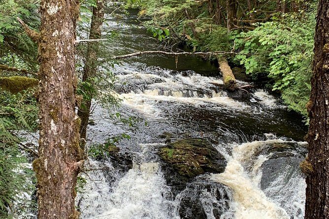 Ketchikan Exclusive Private Group Tour (Price up to 11 Passengers) - What You Can Expect in Practice