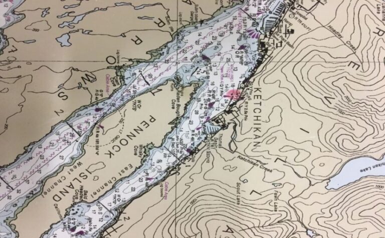 Ketchikan: Marine Wildlife and Whale Watching Boat Tour - Practical Details and How to Make the Most of Your Tour