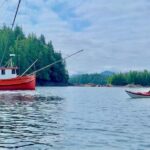 Ketchikan: Orca Cove Fast Boat and Sea Kayak Tour - An In-Depth Look at the Orca Cove Experience