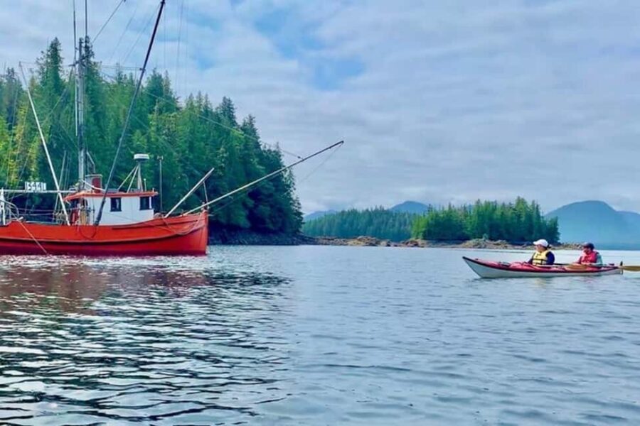 Ketchikan: Orca Cove Fast Boat and Sea Kayak Tour - An In-Depth Look at the Orca Cove Experience