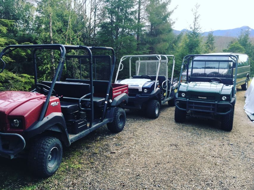 Ketchikan: Tongass Forest Alaska Bigfoot ATV Ride and Hike - Who Should Consider This Tour?
