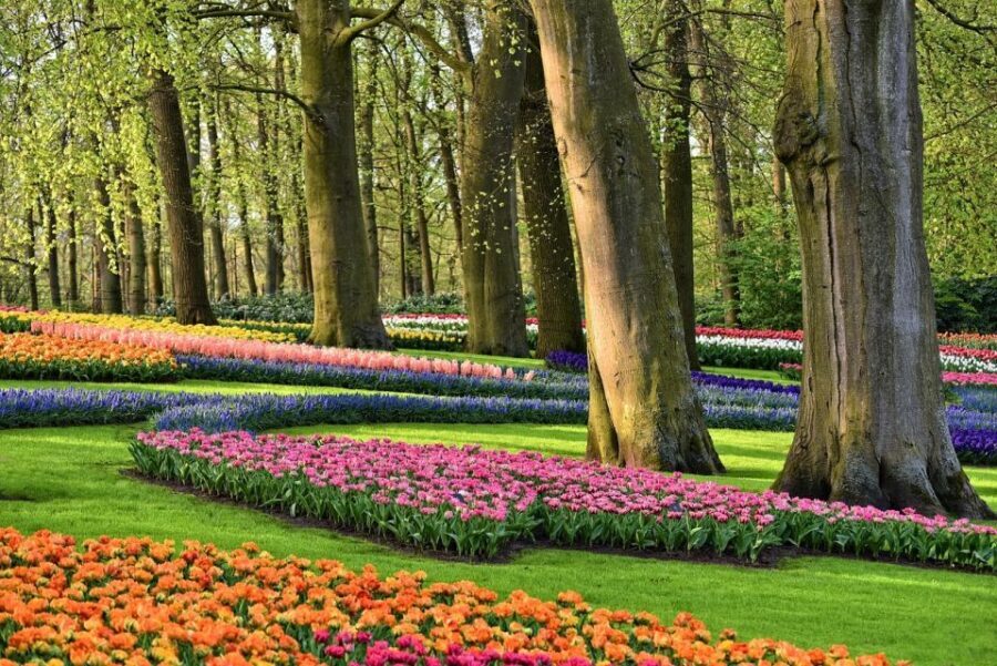 Keukenhof Gardens and Tulip Experience Tour from Amsterdam - Why This Tour Works for Travelers