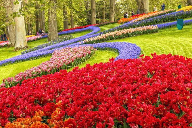 Keukenhof Tulip Garden Tour - Final Thoughts