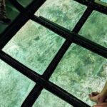 Key Largo Coral Reef Glass Bottom Boat Adventure - A Closer Look at the Experience