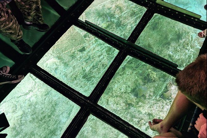 Key Largo Coral Reef Glass Bottom Boat Adventure - A Closer Look at the Experience