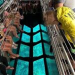 Key Largo Coral Reef Park and Sunset Celebration - Pricing and Value