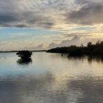 Key Largo Mangrove Private Eco-Tours - Why This Tour Works