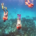 Key Largo Two Reef Snorkel Tour - All Snorkel Equipment Included! - FAQ
