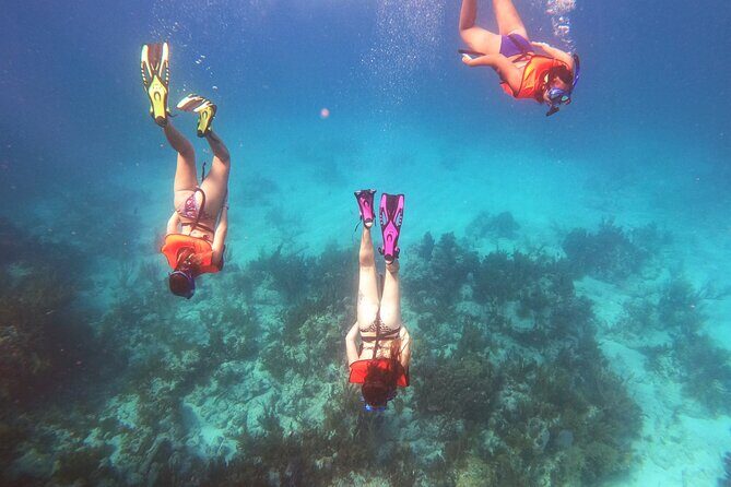 Key Largo Two Reef Snorkel Tour - All Snorkel Equipment Included! - FAQ