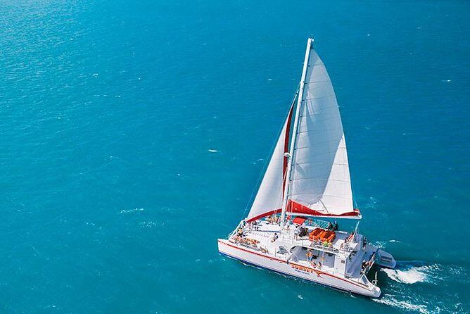 Key West Afternoon Reef Snorkeling with Open Bar - Who Should Book This Tour?