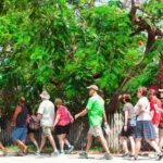 Key West: Cuban and Caribbean Food and Cultural Walking Tour - Who Should Take This Tour?