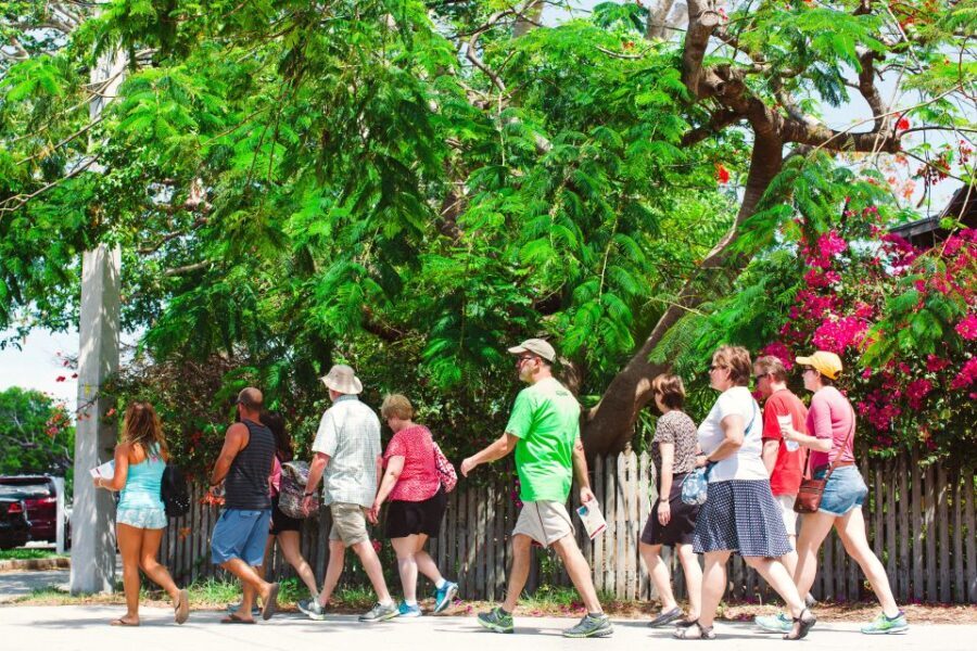 Key West: Cuban and Caribbean Food and Cultural Walking Tour - Who Should Take This Tour?