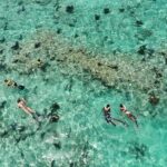 Key West Dolphin and Snorkel Experience - Who Will Love This Tour?