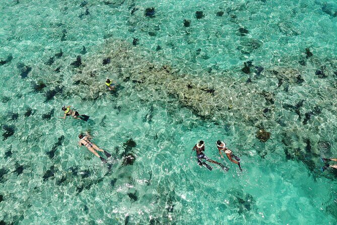 Key West Dolphin and Snorkel Experience