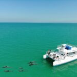 Key West: Dolphin Watching and Snorkeling Sunset Cruise - Practical Details and What to Expect