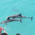 Key West: Dolphin Watching cruise & Snorkeling unlimited beer & soda - In-Depth Review of the Key West Dolphin Watching & Snorkeling Tour