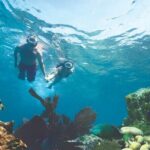 Key West Double-Dip Snorkel Tour-Two Stops, Twice the Fun! - An In-Depth Look at the Key West Double-Dip Snorkel Tour