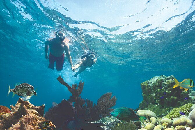 Key West Double-Dip Snorkel Tour-Two Stops, Twice the Fun! - An In-Depth Look at the Key West Double-Dip Snorkel Tour