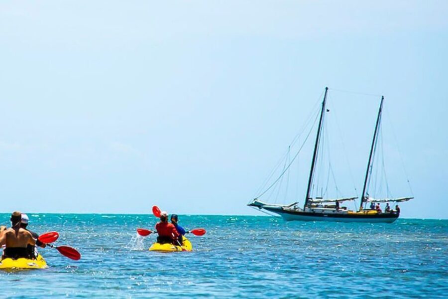 Key West: Full Day Tour of Key West National Wildlife Refuge - What Makes This Tour Stand Out?