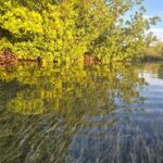 Key West: Kayak or Paddleboard Rental - Why This Experience Stands Out