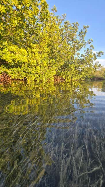 Key West: Kayak or Paddleboard Rental - Why This Experience Stands Out