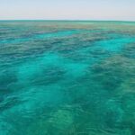 Key West Reef Snorkel & Sail Adventure - FAQ