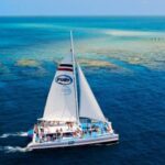Key West: Reef Snorkeling with Drinks and Sunset Option - The Snorkeling: Marine Life and Underwater Beauty