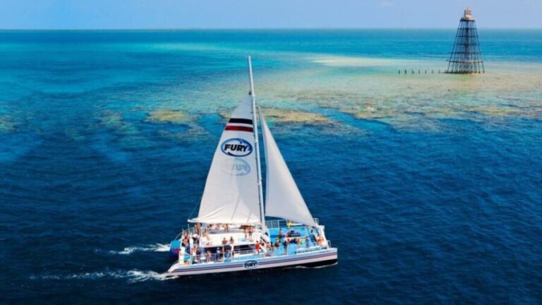 Key West: Reef Snorkeling with Drinks and Sunset Option - The Snorkeling: Marine Life and Underwater Beauty