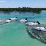 Key West Safari Eco Sandbar Tour Adventure with Snorkeling - What Sets This Tour Apart