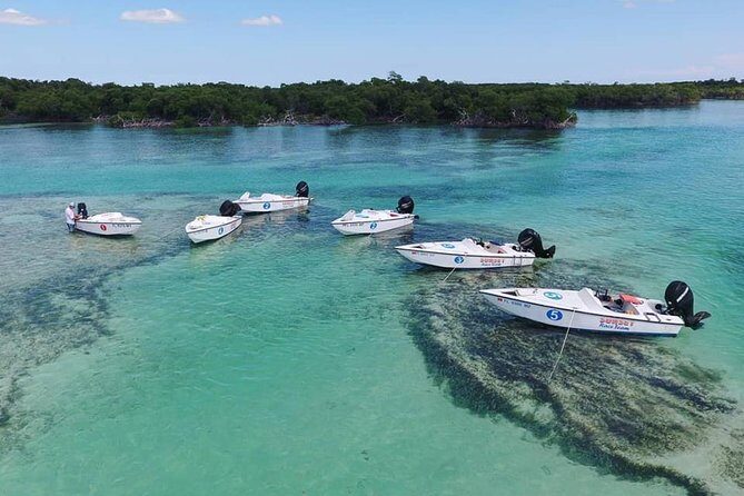 Key West Safari Eco Sandbar Tour Adventure with Snorkeling - What Sets This Tour Apart